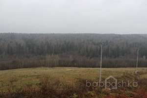 IMG_8981 экстрим Съёмки Москва