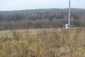 IMG_8992 экстрим Съёмки Москва