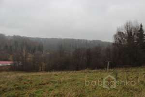 IMG_9027 экстрим Съёмки Москва