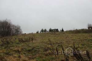 IMG_9033 экстрим Съёмки Москва