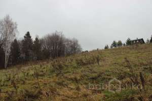 IMG_9025 экстрим Съёмки Москва