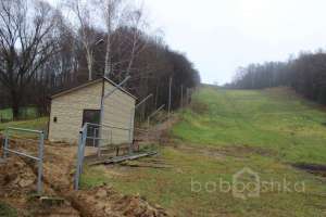 IMG_8914 экстрим Съёмки Москва