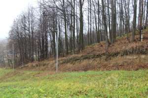 IMG_8919 экстрим Съёмки Москва