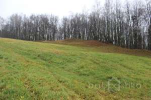 IMG_8923 экстрим Съёмки Москва