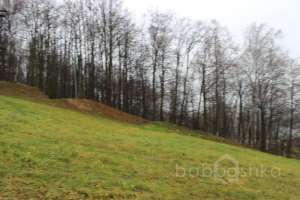 IMG_8924 экстрим Съёмки Москва