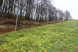 IMG_8921 экстрим Съёмки Москва