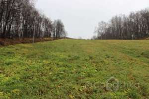 IMG_8922 экстрим Съёмки Москва