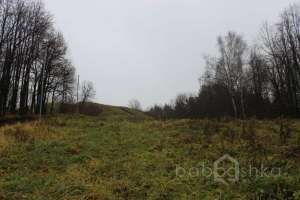 IMG_8927 экстрим Съёмки Москва