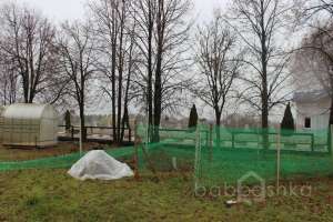 IMG_8938 экстрим Съёмки Москва