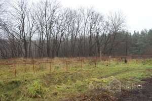 IMG_8951 экстрим Съёмки Москва