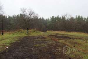 IMG_8952 экстрим Съёмки Москва