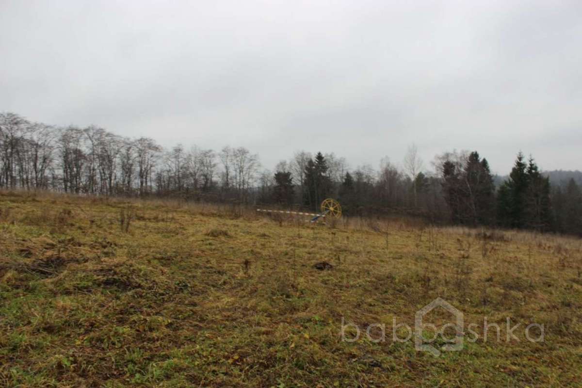 IMG_9145 экстрим 