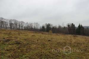 IMG_9145 экстрим Съёмки Москва