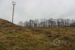 IMG_9146 экстрим Съёмки Москва