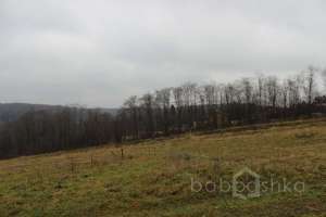 IMG_9150 экстрим Съёмки Москва