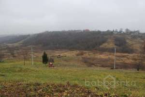 IMG_9240 экстрим Съёмки Москва