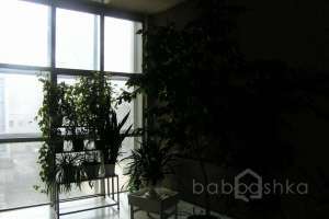 %D0%94%D0%9A%20%D0%90%D0%B2%D1%82%D0%BE%D0%B7%D0%B0%D0%B2%D0%BE%D0%B4%D1%81%D0%BA%D0%B0%D1%8F_129 дворцы и усадьбы Съёмки Москва