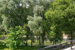 PHOTO-2018-06-07-12-39-59 дома Съёмки Москва