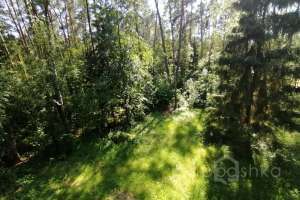 371de0bc-89b2-4f04-82eb-d65a8c2de9b0 дома Съёмки Москва