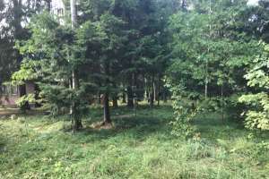 IMG_0206-04-09-19-12-49. дома Съёмки Москва