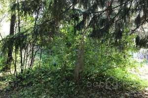 IMG_0241-04-09-19-12-50. дома Съёмки Москва