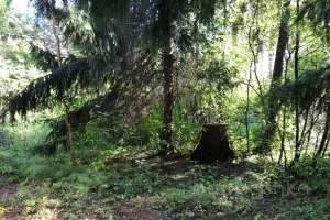 IMG_0239-04-09-19-12-50. дома Съёмки Москва