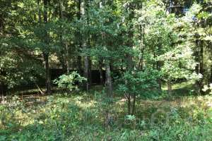 IMG_0253-04-09-19-12-50. дома Съёмки Москва