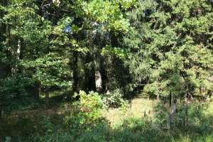 IMG_0255-04-09-19-12-50. дома Съёмки Москва