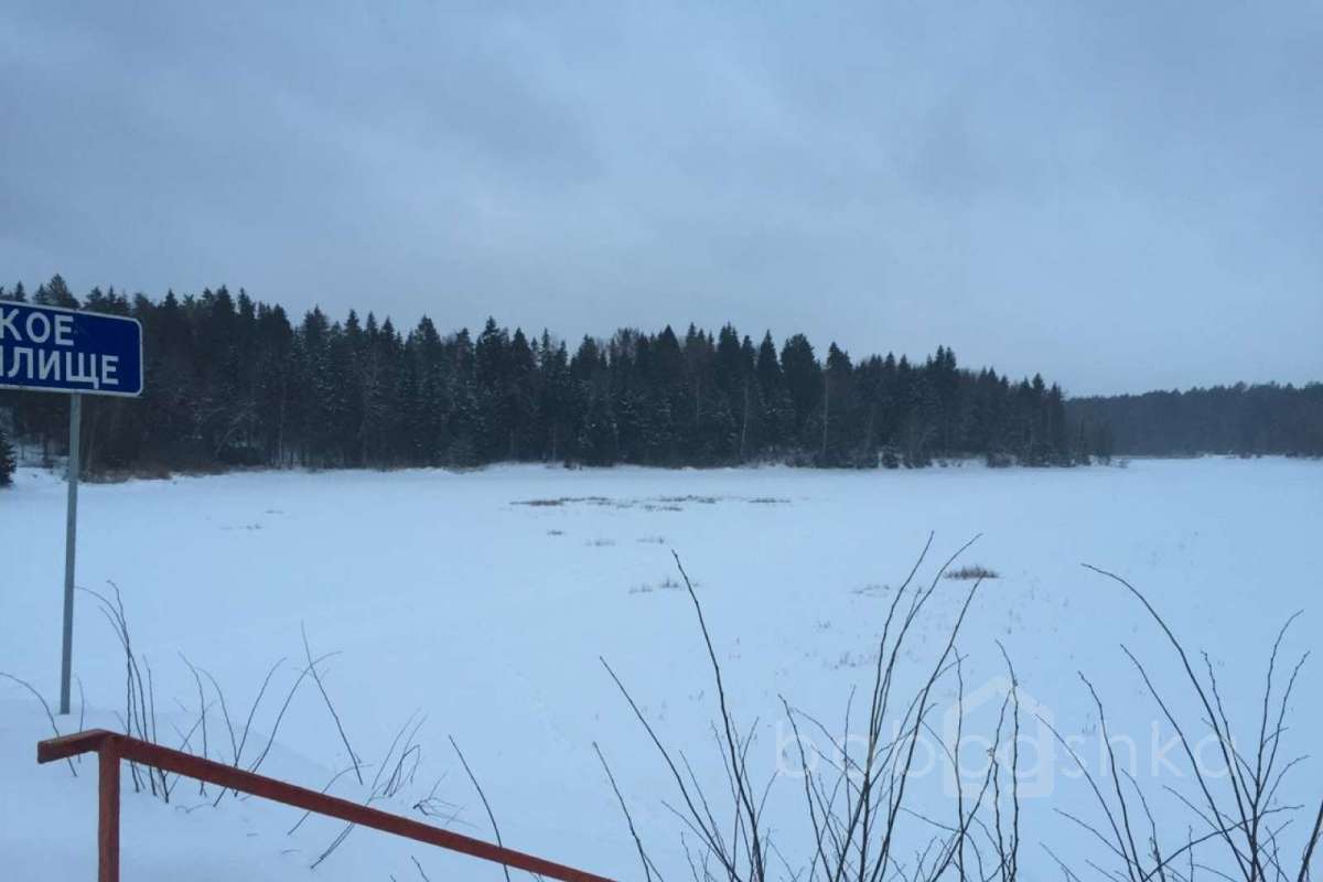 IMG-20170119-WA0133 дома 