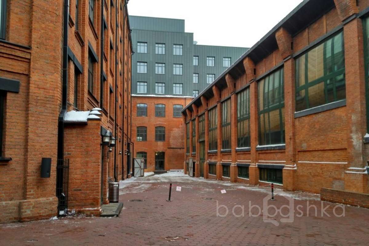 IMG_4503 территория 