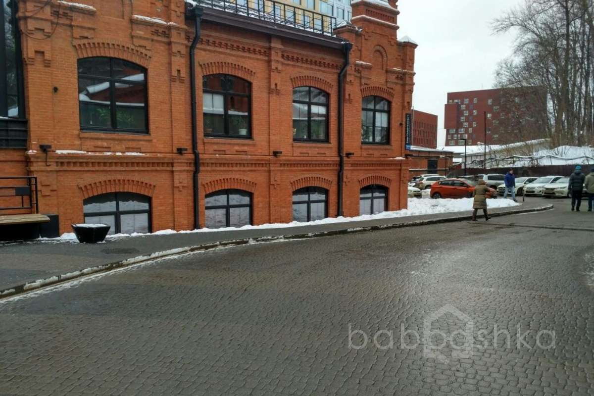 IMG_4516 территория 