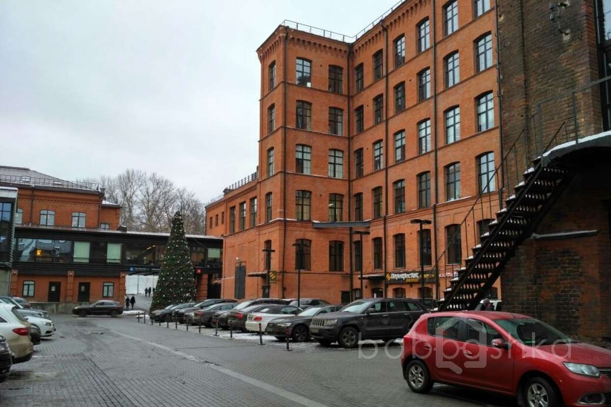 IMG_4506 территория 