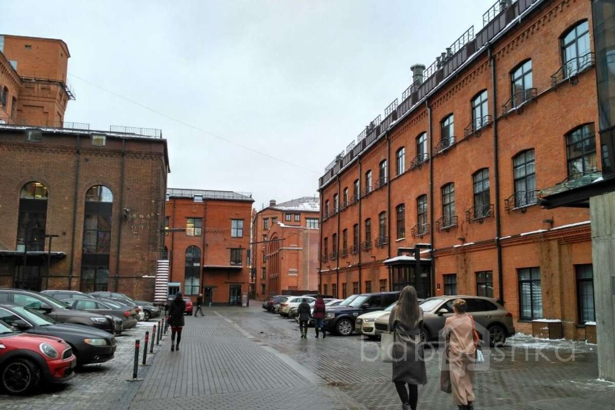 IMG_4517 территория 