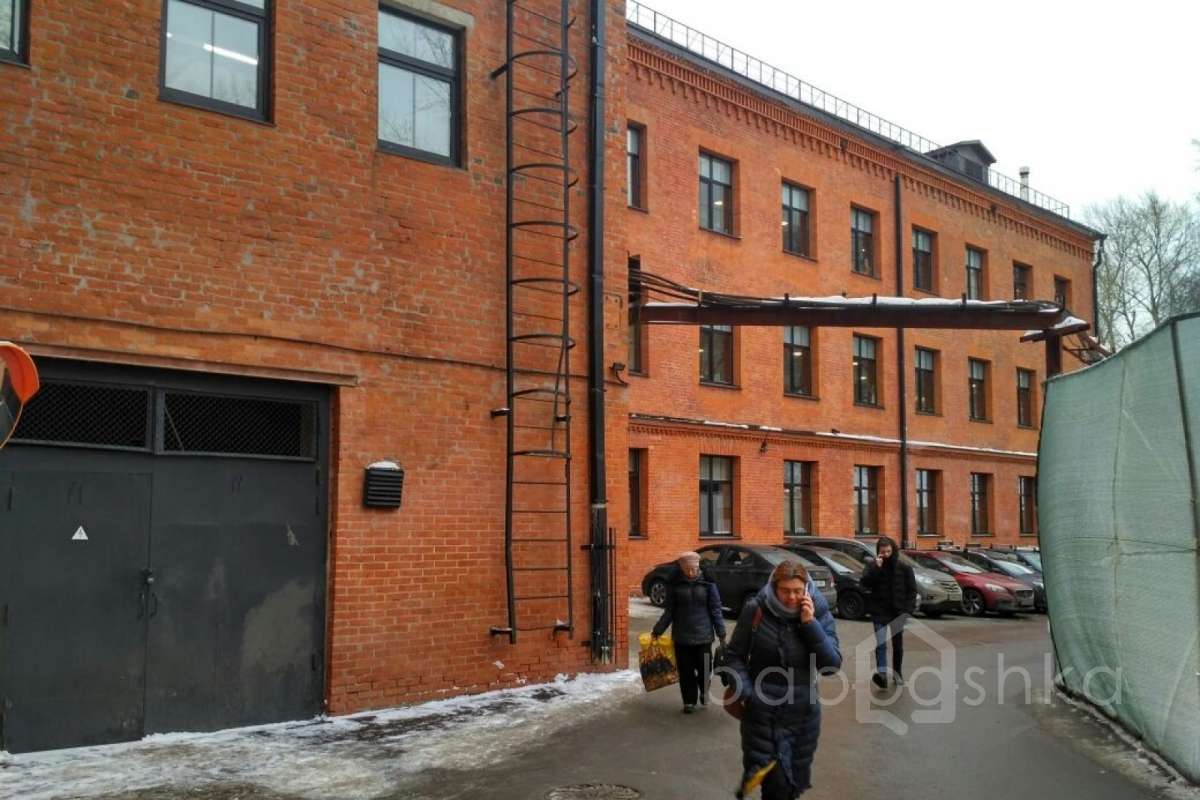 IMG_4514 территория 