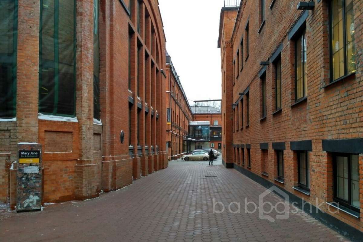 IMG_4520 территория 