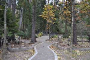 1%20(38) дома Съёмки Москва