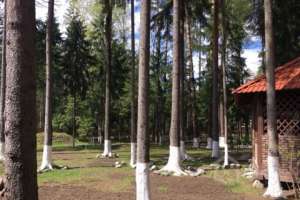 rblvk96 дома Съёмки Москва