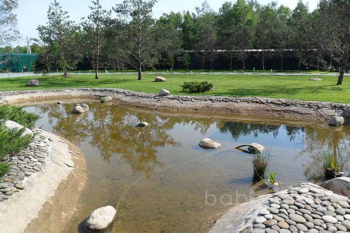 Resize%20of%20SAM_4923 дома 