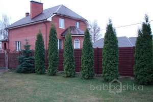 %D0%94%D1%83%D0%B1%D1%86%D1%8B-%D0%A3%D0%B1%D0%BE%D1%80%D1%8B%20(%D0%90%D0%BD%D0%B0%D1%81%D1%82%D0%B0%D1%81%D0%B8%D1%8F)_07 дома Съёмки Москва