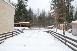 zel1%20(40) дома Съёмки Москва