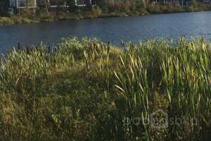 51a761ba-b42f-441a-b674-95ecdf86e671 дома Съёмки Москва