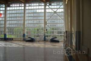 SDC15388 баскетбол Съёмки Москва