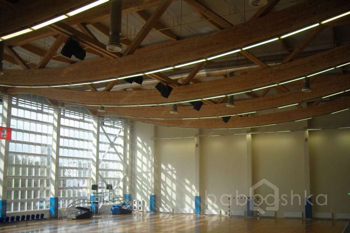 SDC15402 баскетбол 