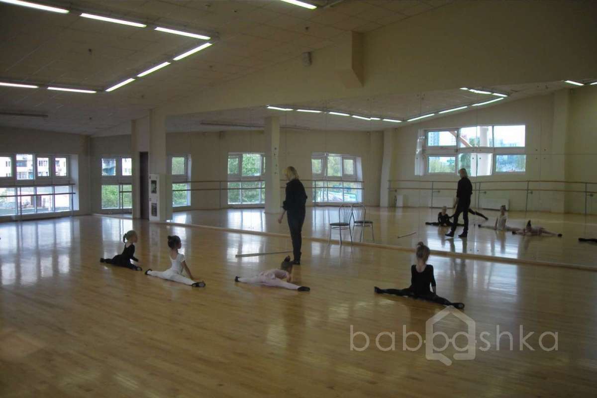 SDC15409 баскетбол 