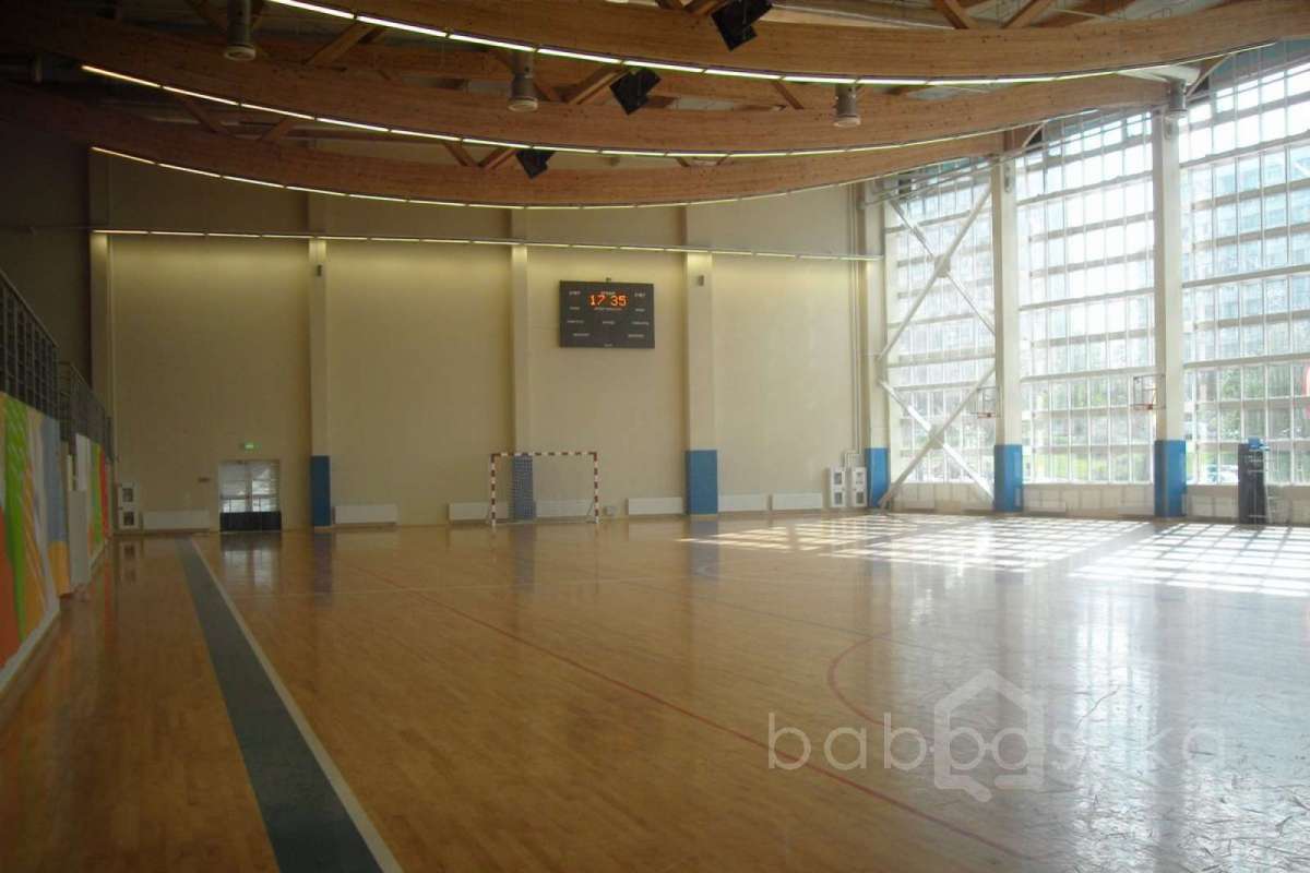 SDC15387 баскетбол 