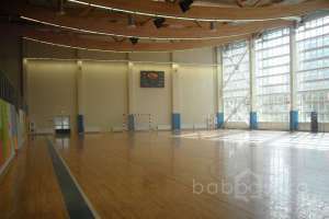 SDC15387 баскетбол Съёмки Москва