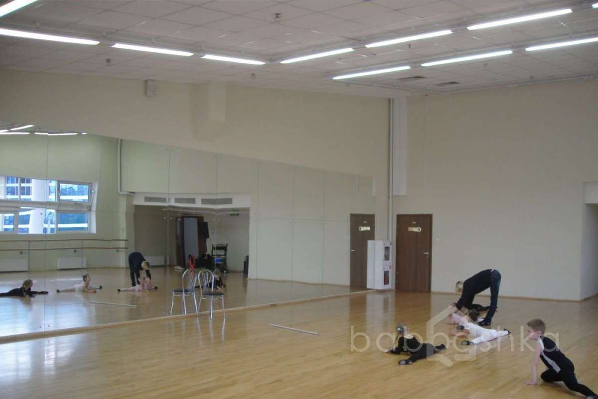 SDC15413 баскетбол 