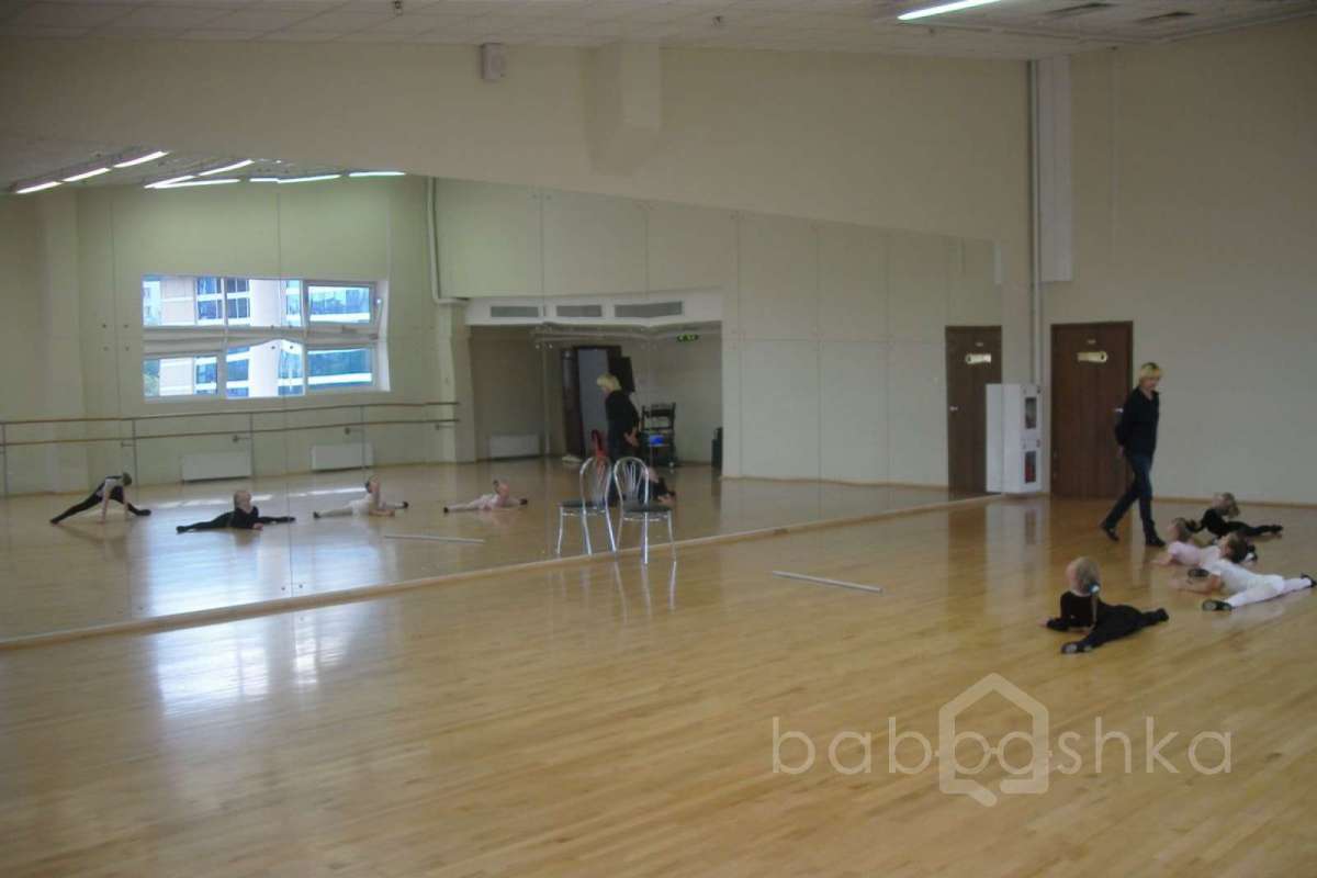 SDC15412 баскетбол 