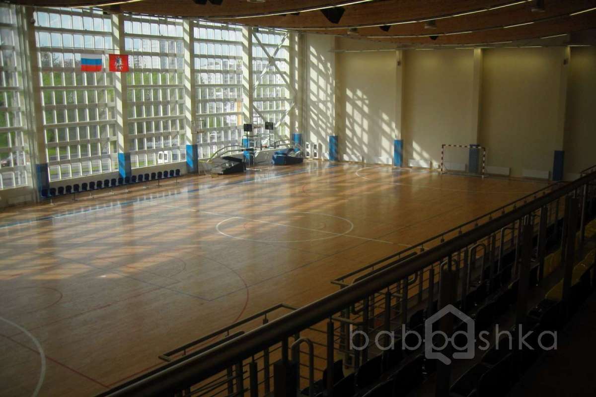 SDC15406 баскетбол 