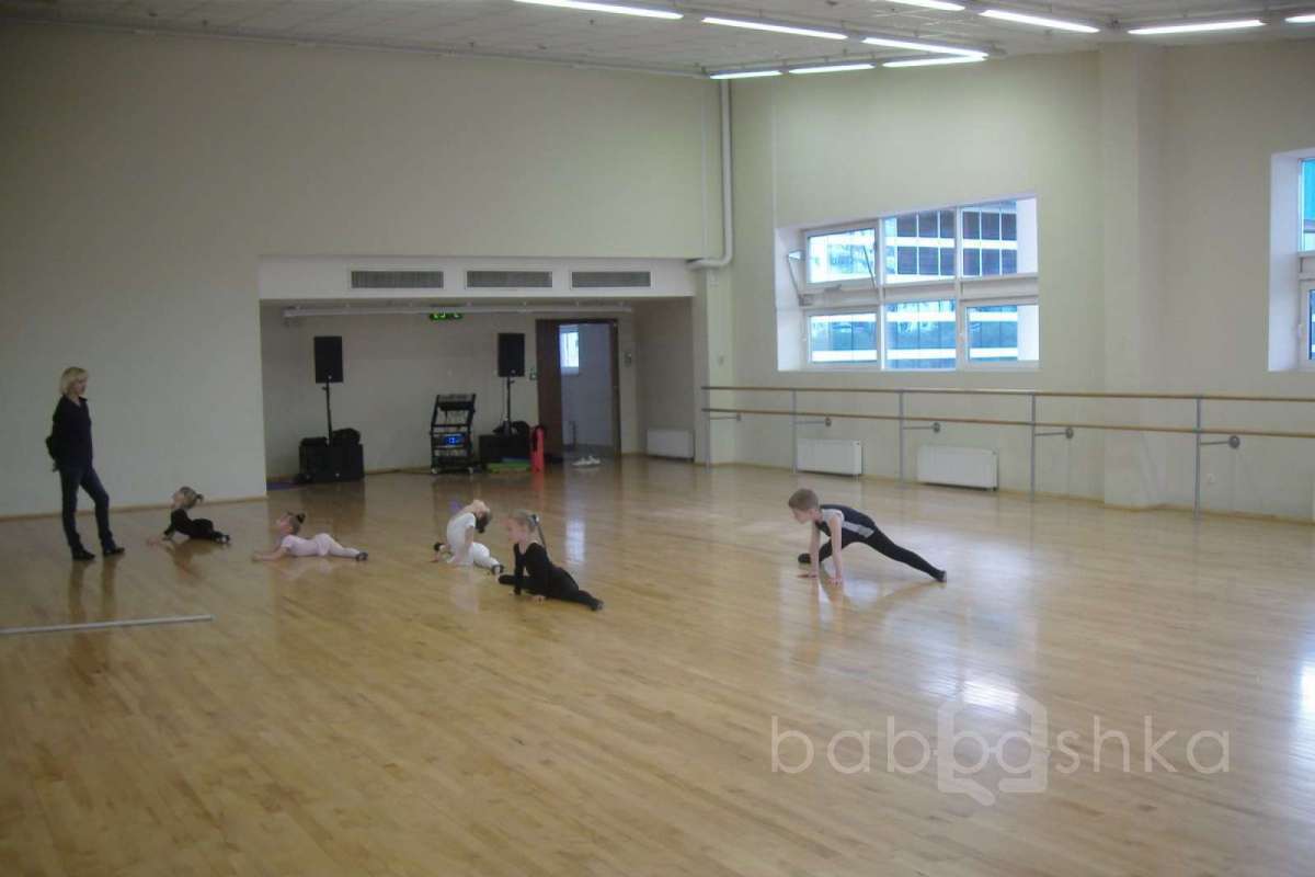 SDC15411 баскетбол 